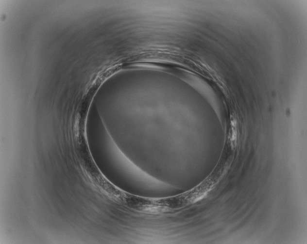 X0000086080504200703231408