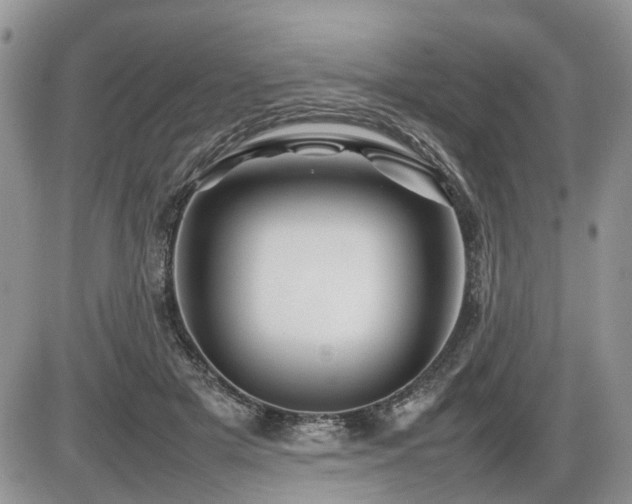 X0000086080505200703231408