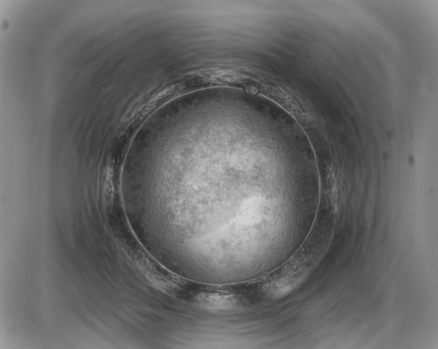 X0000086080506200703231408