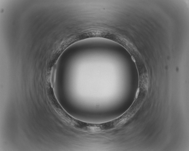 X0000086080509200703231408