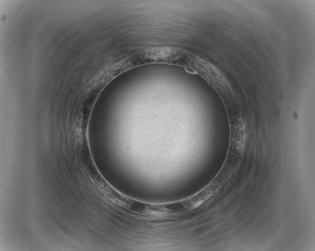 X0000086080510200703231408