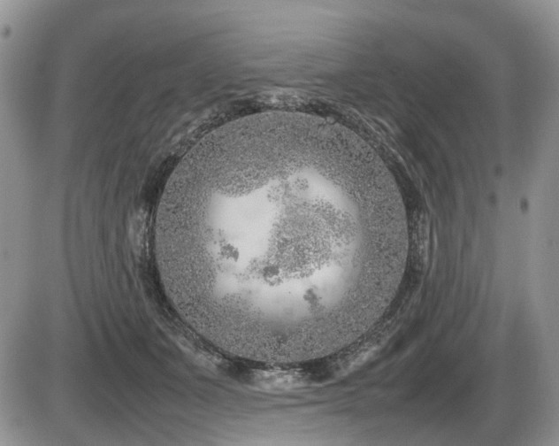 X0000086080511200703231408