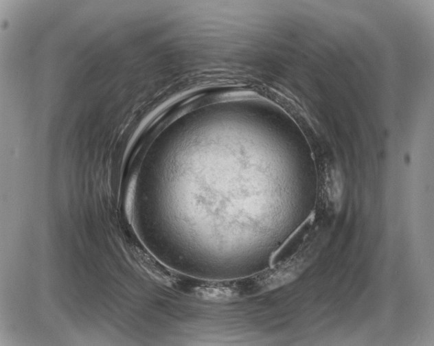 X0000086080512200703231408