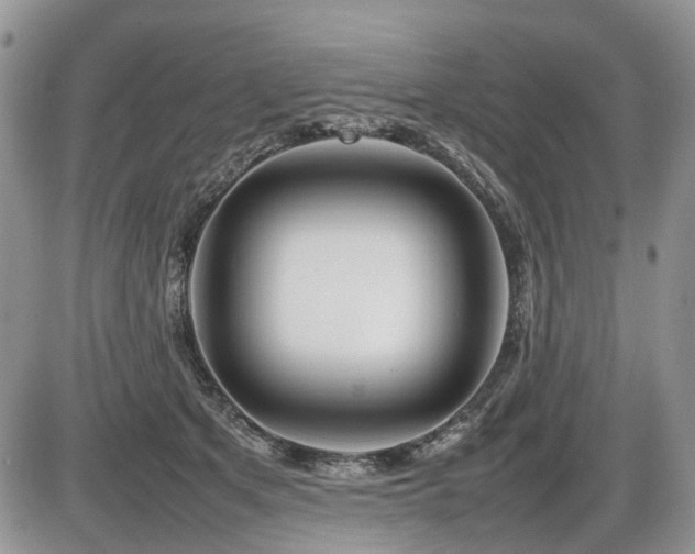 X0000086080513200703231408