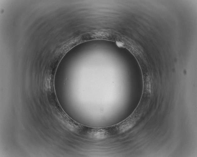 X0000086080514200703231408