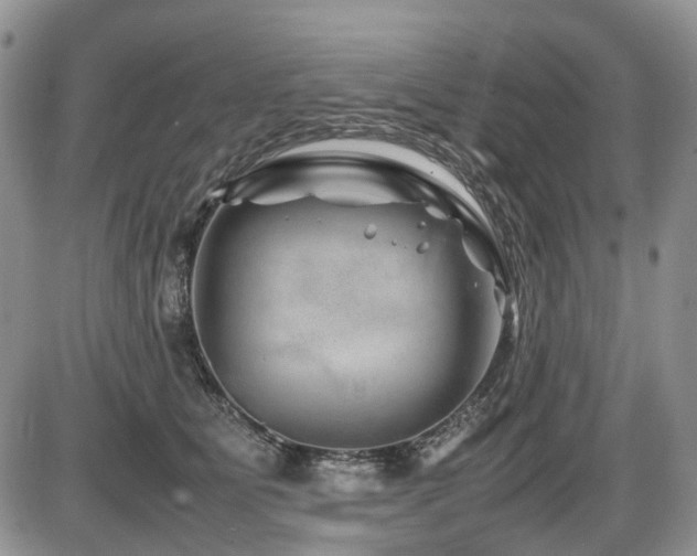 X0000086080515200703231408