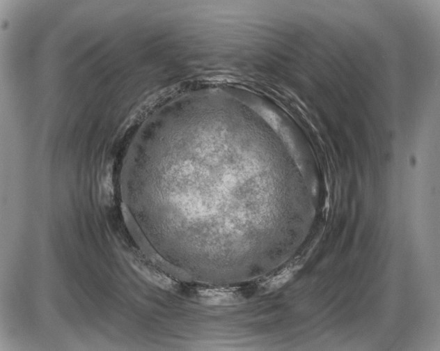 X0000086080516200703231408