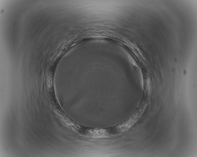 X0000086080517200703231408