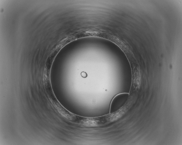 X0000086080518200703231408