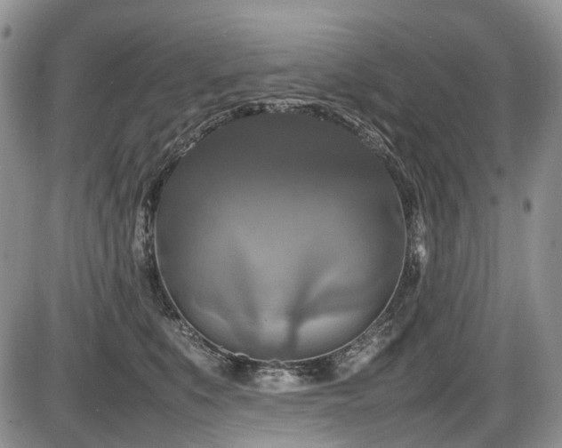 X0000086080519200703231408