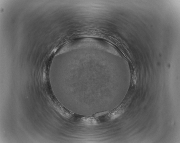 X0000086080520200703231408