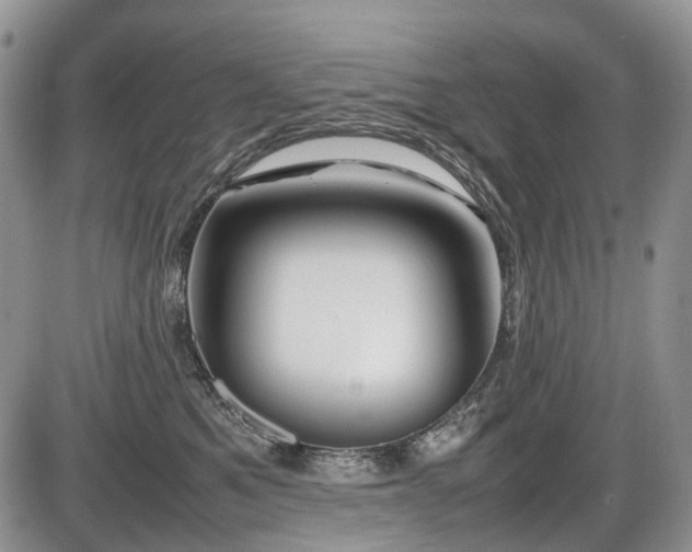 X0000086080521200703231408