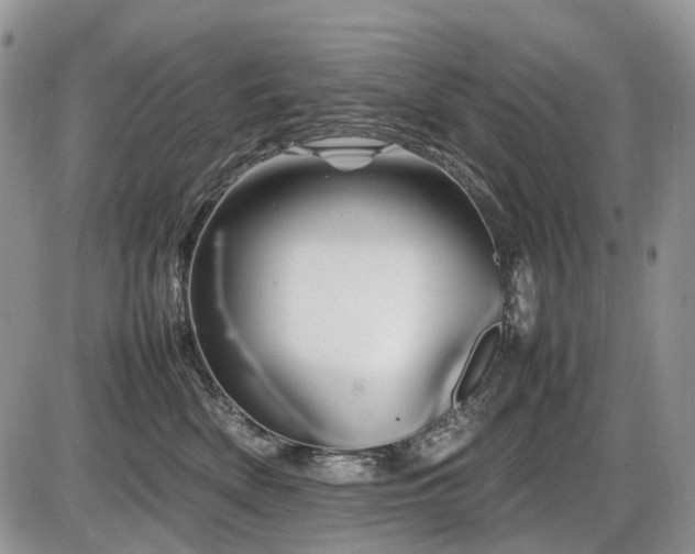 X0000086080522200703231408