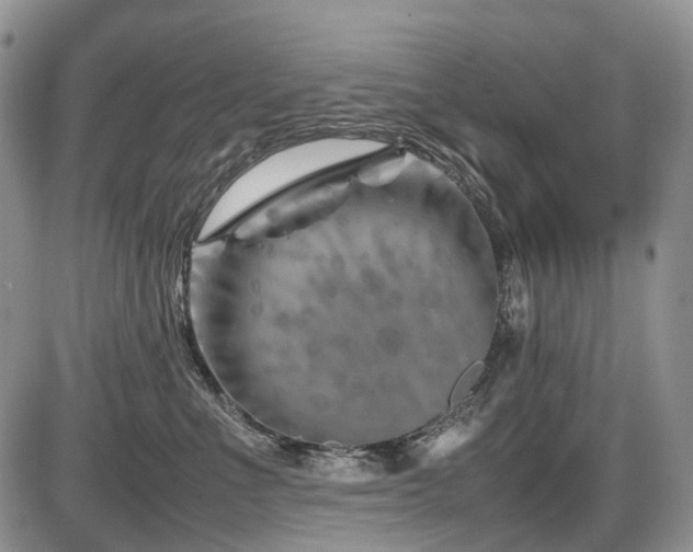 X0000086080523200703231408