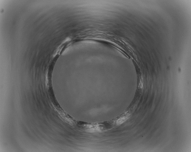 X0000086080524200703231408