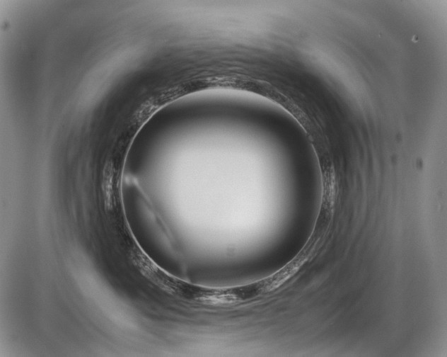 X0000086080525200703231408