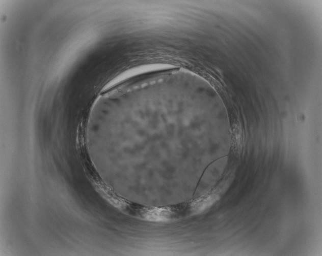 X0000086080527200703231408