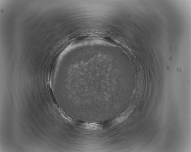 X0000086080528200703231408