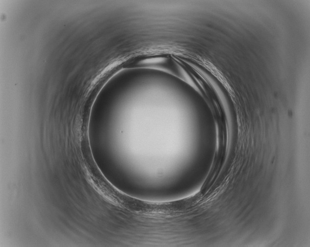 X0000086080530200703231407