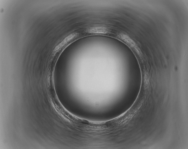 X0000086080533200703231407