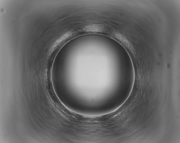 X0000086080535200703231407