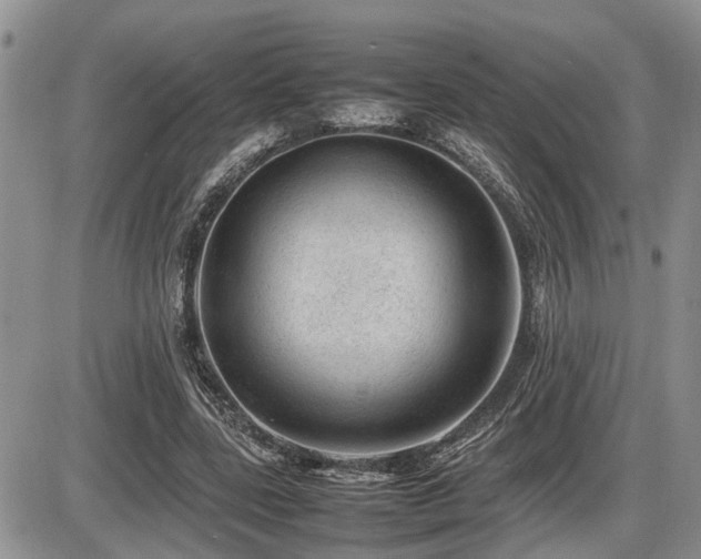 X0000086080539200703231407