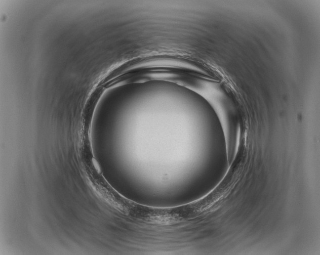 X0000086080540200703231407