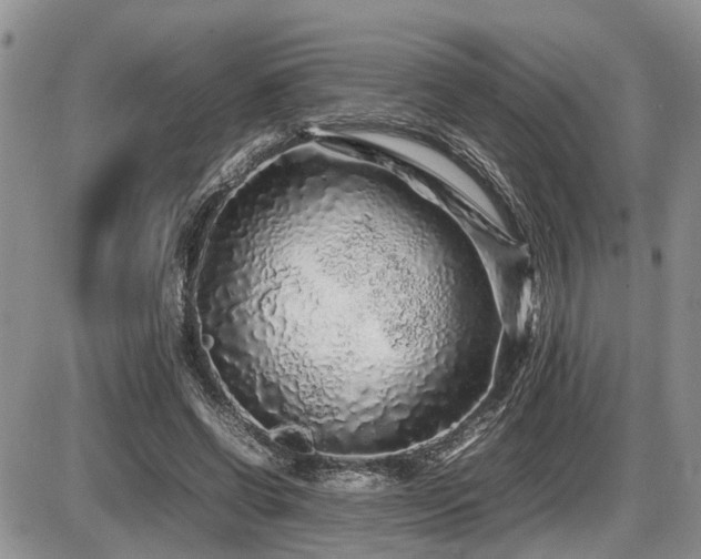X0000086080542200703231407