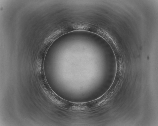 X0000086080545200703231407