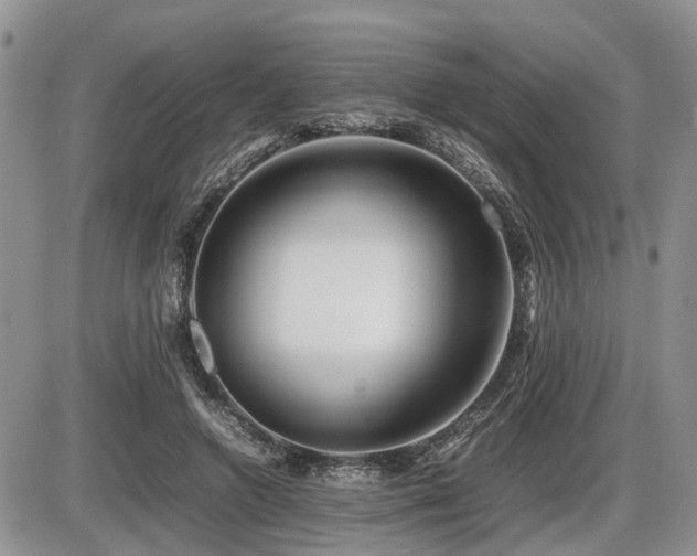 X0000086080546200703231407
