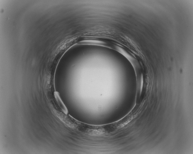 X0000086080548200703231407