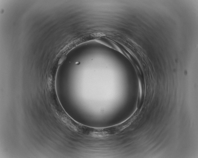 X0000086080556200703231407