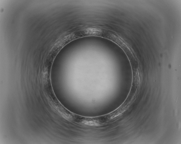 X0000086080557200703231407