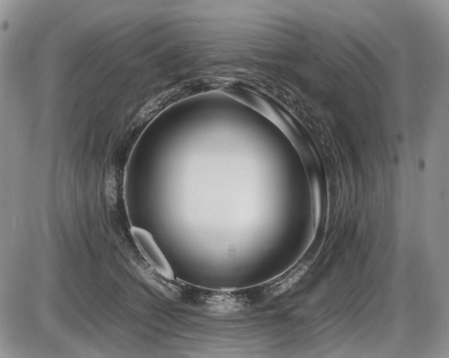X0000086080562200703231407