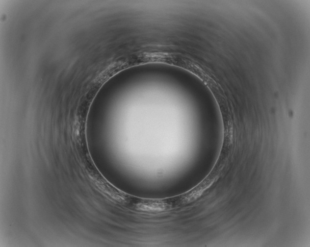 X0000086080567200703231408