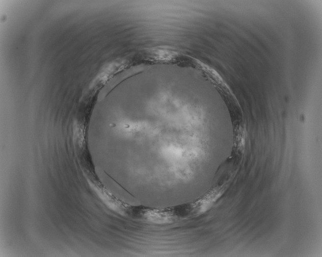 X0000086080568200703231408