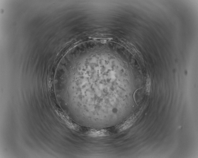 X0000086080569200703231408