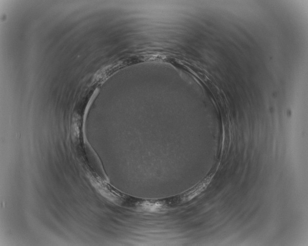 X0000086080570200703231408