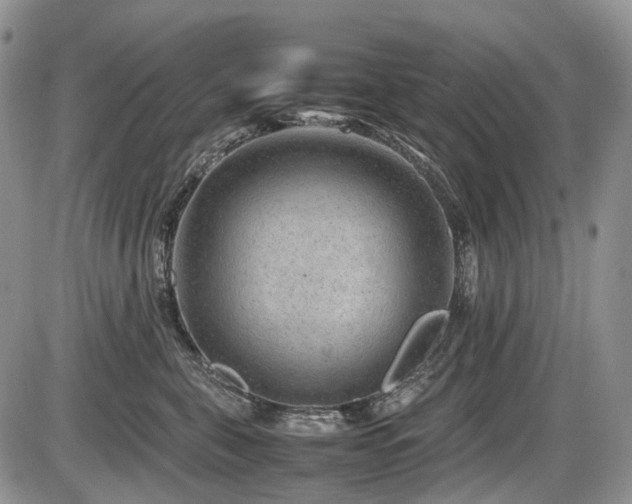 X0000086080571200703231408