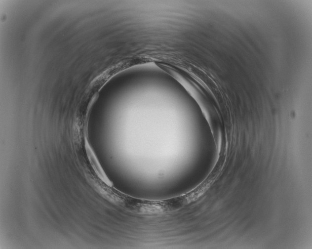 X0000086080572200703231408