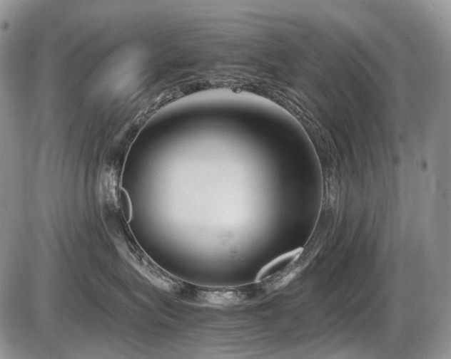 X0000086080575200703231408