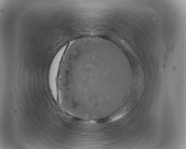 X0000086080576200703231408