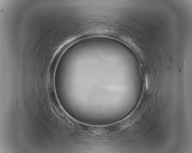 X0000086080579200703231407