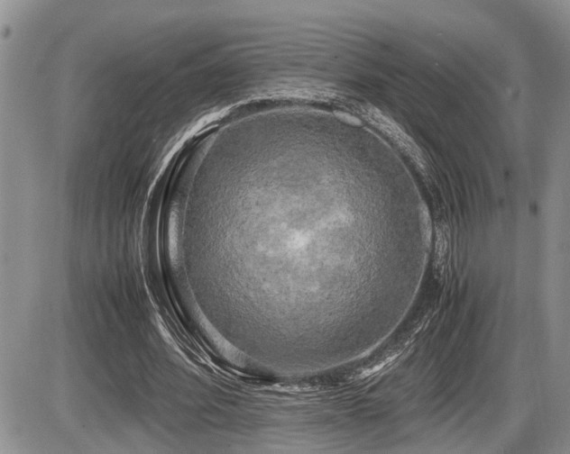 X0000086080580200703231407