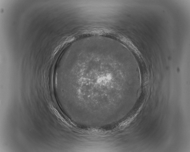 X0000086080585200703231407