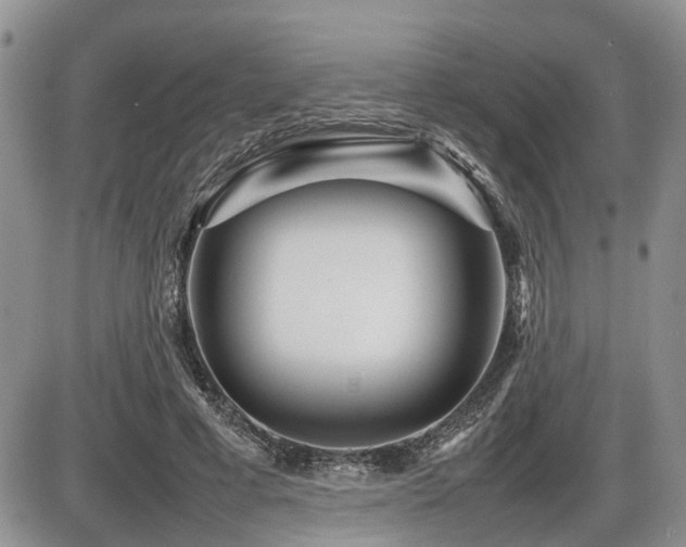 X0000086080593200703231407