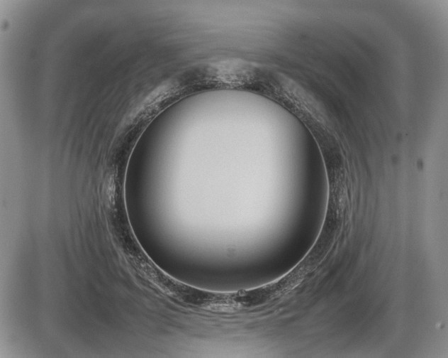 X0000086080595200703231407
