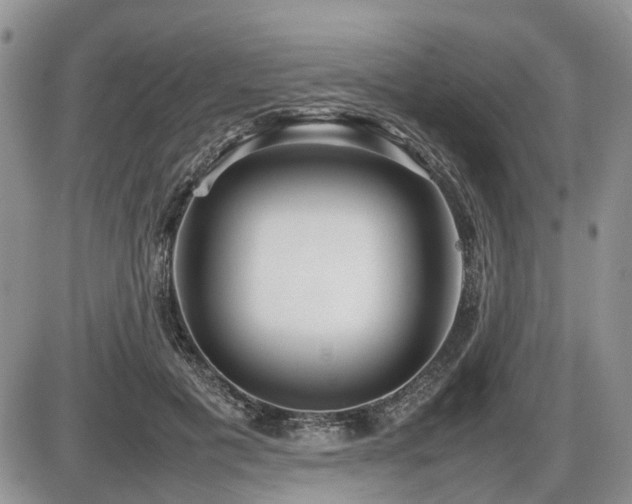 X0000086080601200703231406