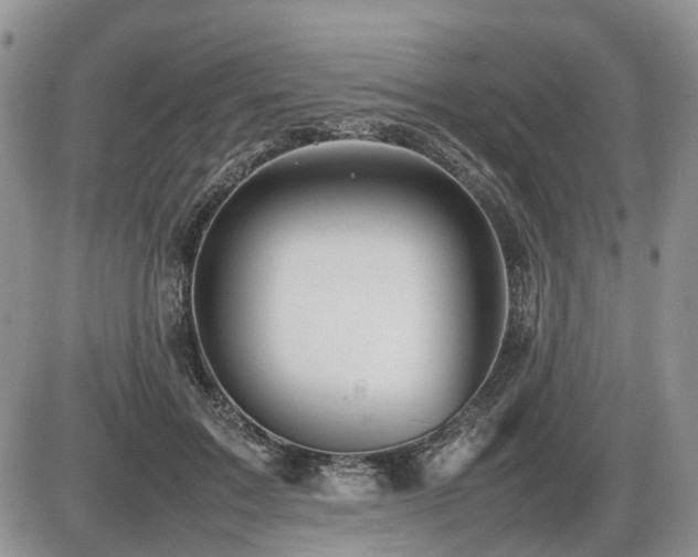 X0000086080603200703231406