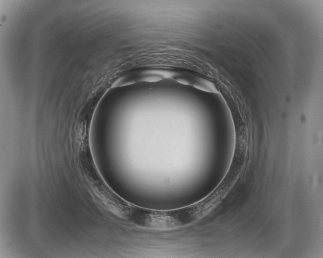 X0000086080605200703231406